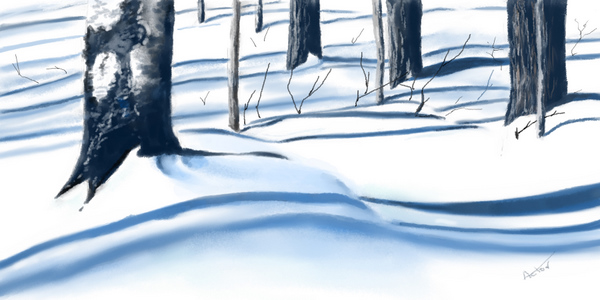 Image #3 of 12: 